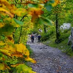 Agava - Pure Relaxation By The Pine Forest 公寓 塞利讷