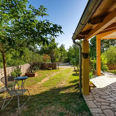 Agava - Pure Relaxation By The Pine Forest