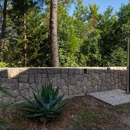 Agava - Pure Relaxation By The Pine Forest *