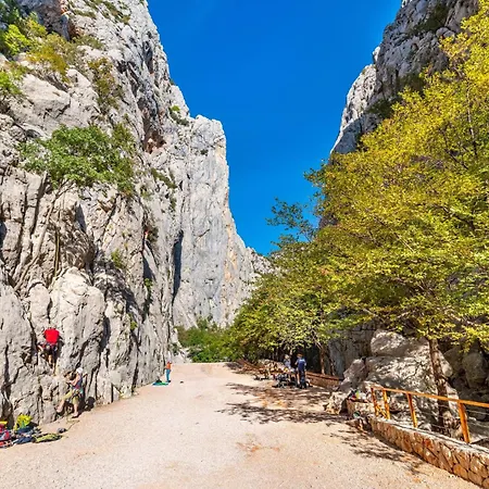 Agava - Pure Relaxation By The Pine Forest