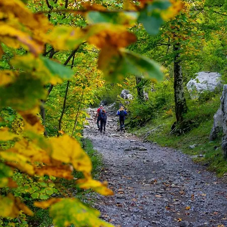 Agava - Pure Relaxation By The Pine Forest Apartamento Seline