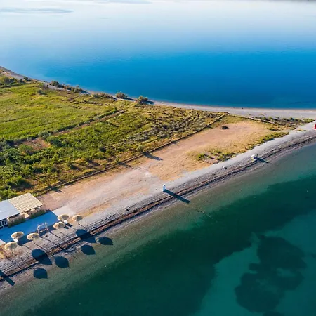 Agava - Pure Relaxation By The Pine Forest