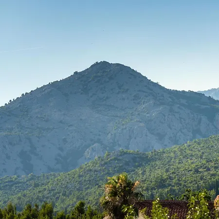 Agava - Pure Relaxation By The Pine Forest Apartment Seline