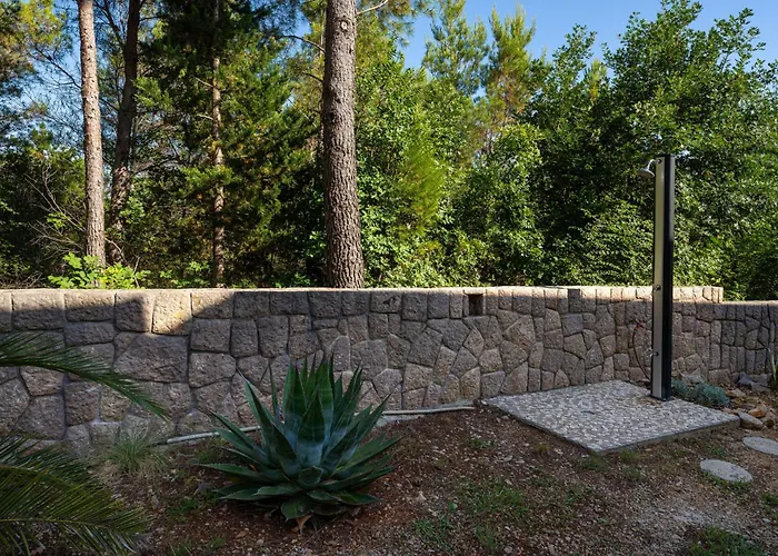 Agava - Pure Relaxation By The Pine Forest *